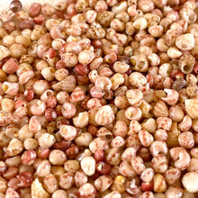 画像をギャラリービューアに読み込む, ニイハウシェル カヘレラニ/ライトピンク