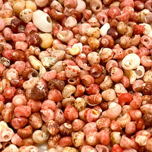 画像をギャラリービューアに読み込む, ニイハウシェル カヘレラニ/ホットピンク