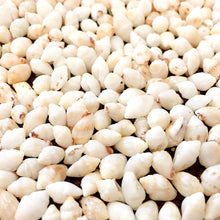 画像をギャラリービューアに読み込む, ニイハウシェル モミ/ホワイト