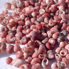 画像をギャラリービューアに読み込む, ニイハウシェル カヘラレアニ/レッド(バーガンディ)