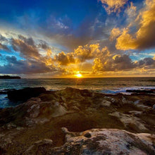 画像をギャラリービューアに読み込む, ニイハウシェル モミ/レナレナイエロー