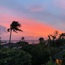 画像をギャラリービューアに読み込む, ニイハウシェル モミ/レナレナイエロー